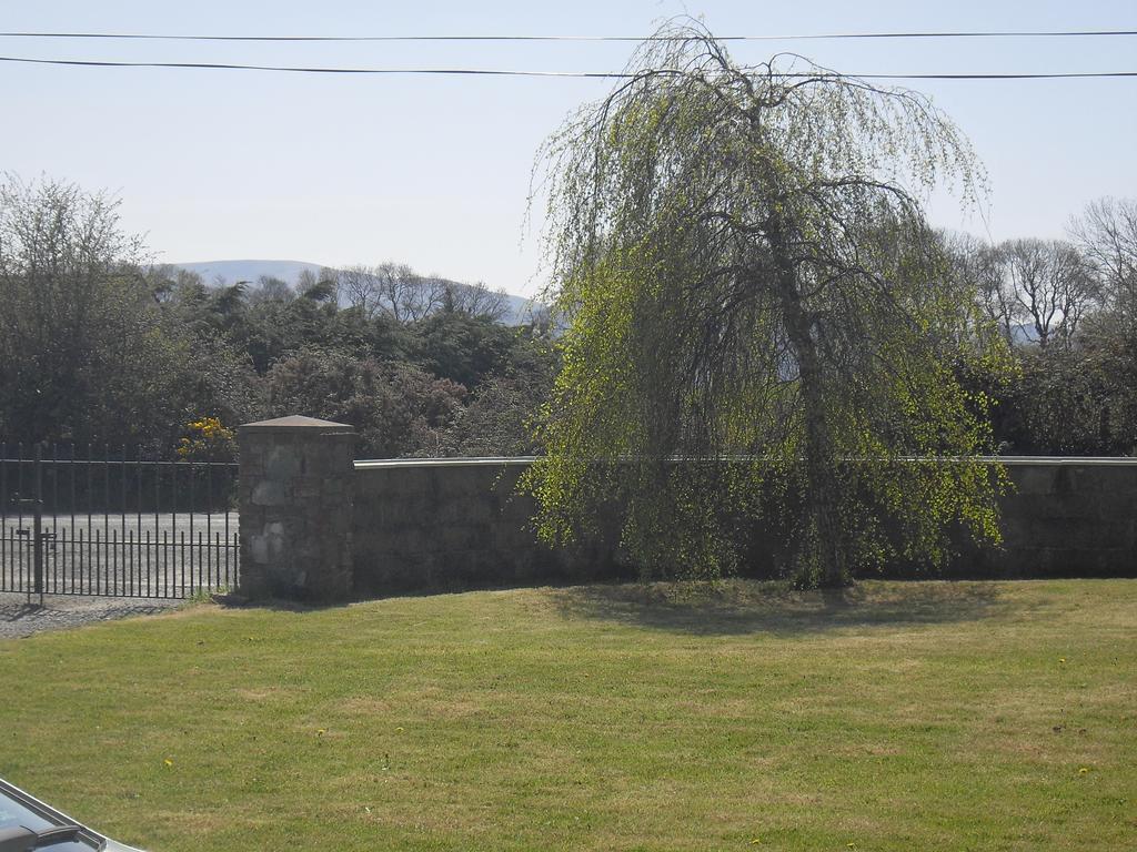 Green Acres Guesthouse- Accommodation Only Lower Coolcorcoran 외부 사진